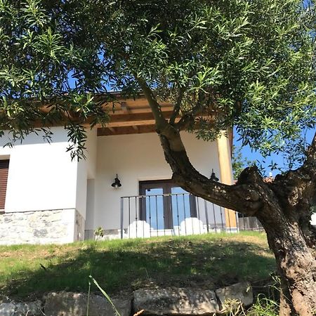 里瓦德塞利亚La Casina Del Olivo别墅 外观 照片