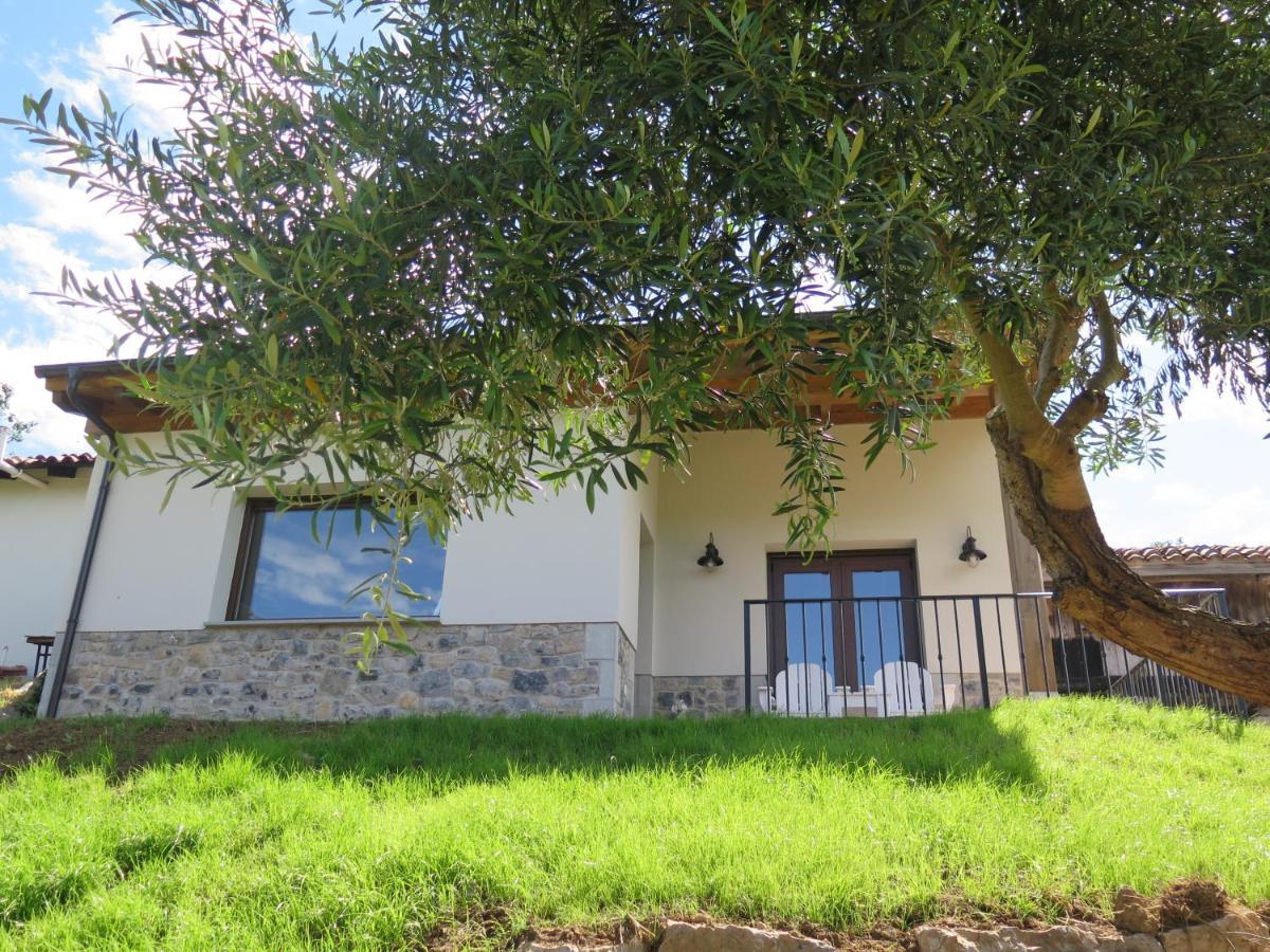 里瓦德塞利亚La Casina Del Olivo别墅 外观 照片